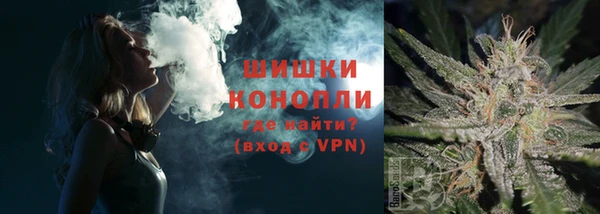 шишки Протвино