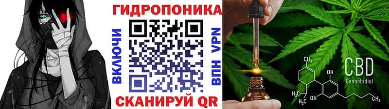 купить наркоту  shop официальный сайт  Бошки марихуана гибрид  Балахна 